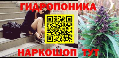 гашик Краснознаменск